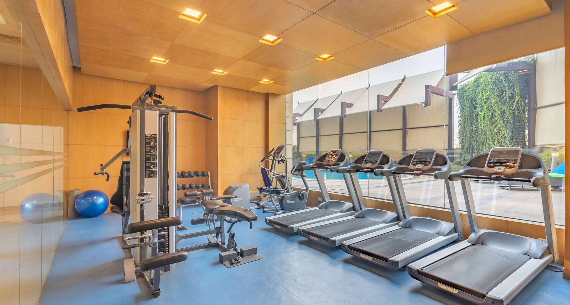 Radisson Hotel Gurugram Sohna Road City Center - Gym