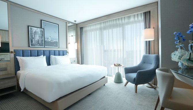 Radisson Hotel Istanbul Merter - Standard Room