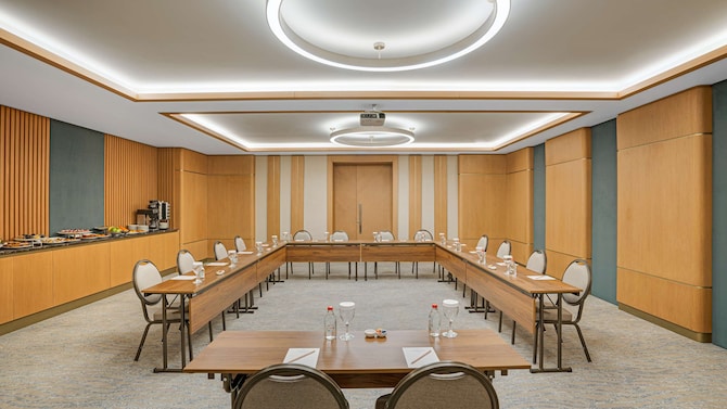 Dolmabahce meeting room