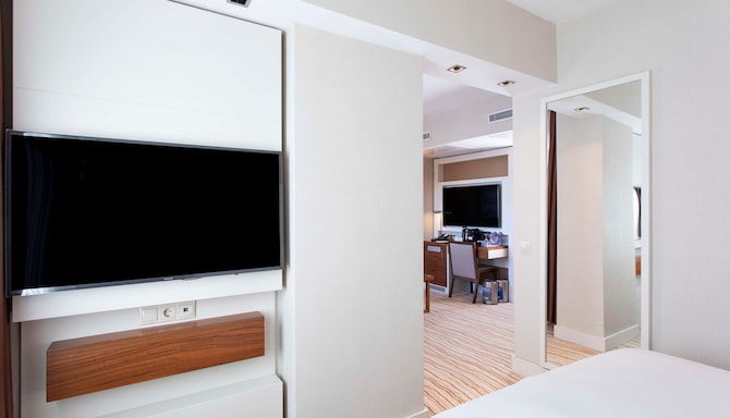 Radisson Hotel Istanbul Sultanahmet - 客房/住宿