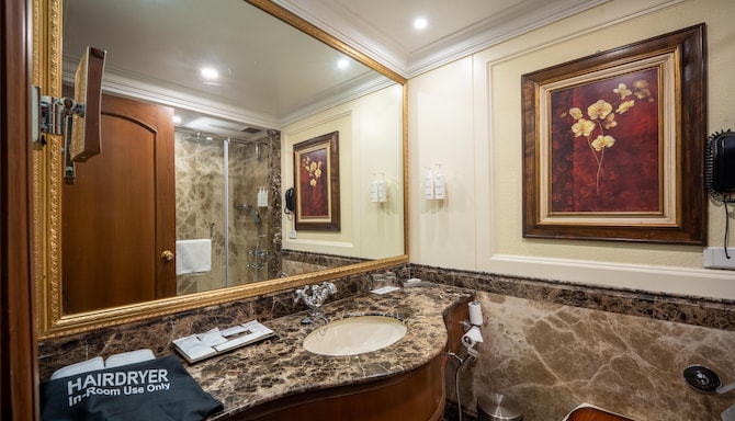 Radisson Hotel Jalandhar - Bathroom