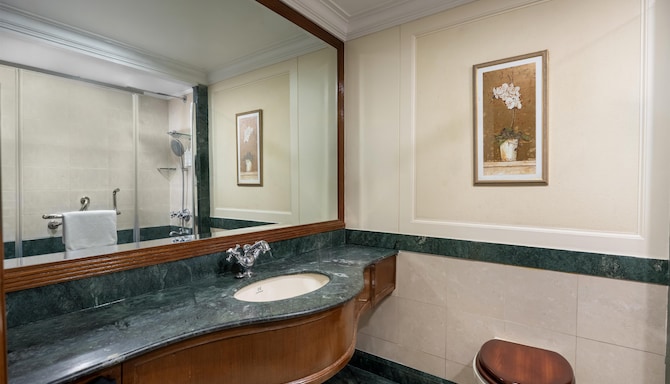 Radisson Hotel Jalandhar - Standard Room Bathroom