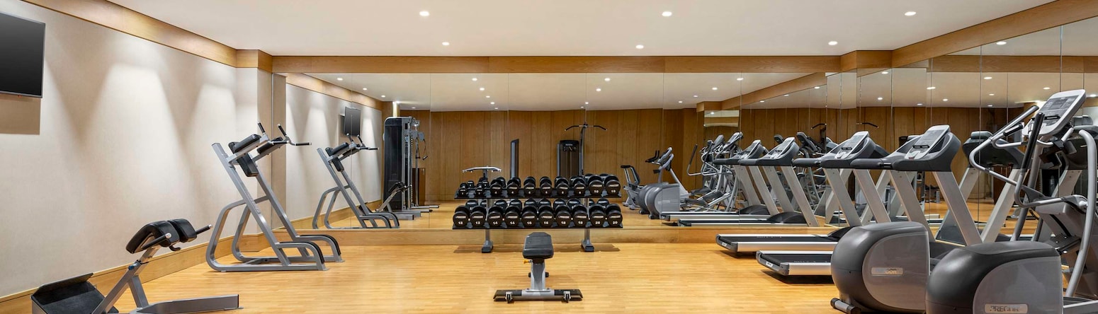 Radisson Hotel Muscat Panorama - Gym