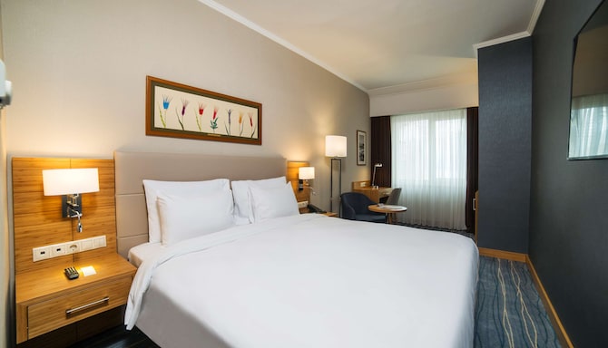 Radisson Hotel President Old Town Istanbul - Standard Room Sea View