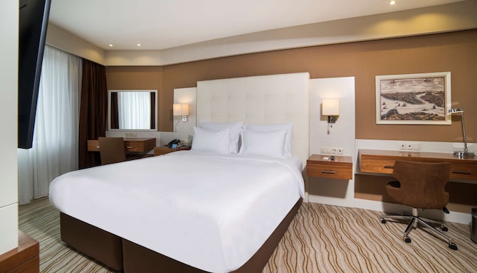 Radisson Hotel President Old Town Istanbul - Superior Room
