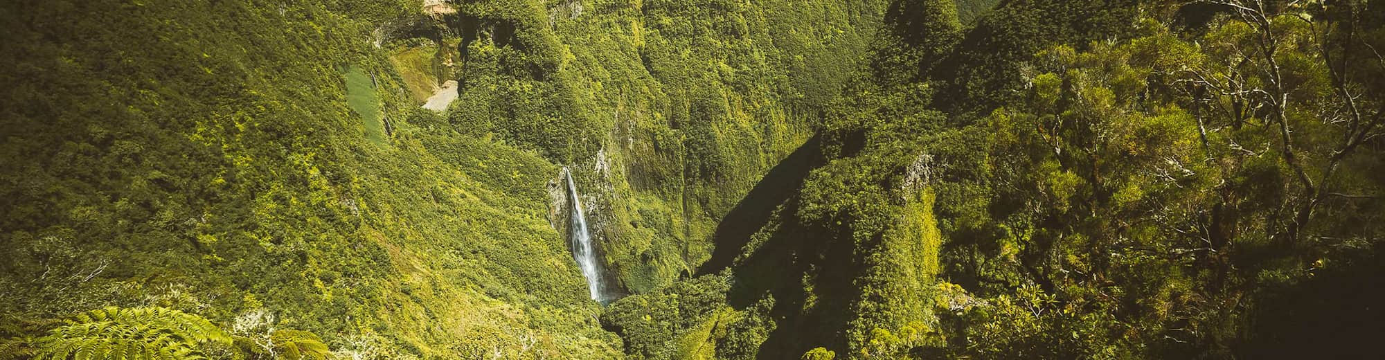 Radisson Hotel Saint Denis - La Reunion island