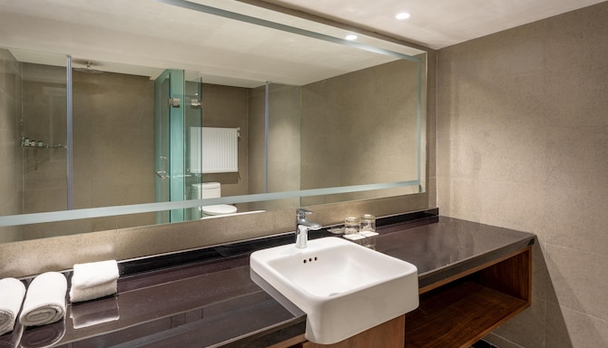 Radisson Hotel Sonamarg - Junior Suite Bathroom
