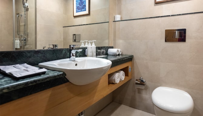 Radisson Hotel Srinagar - Standard Bathroom