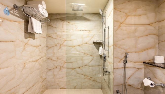 Radisson Hotel Srinagar - Business Bathroom