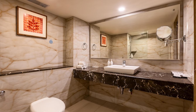 Radisson Hotel Srinagar - Business Bathroom