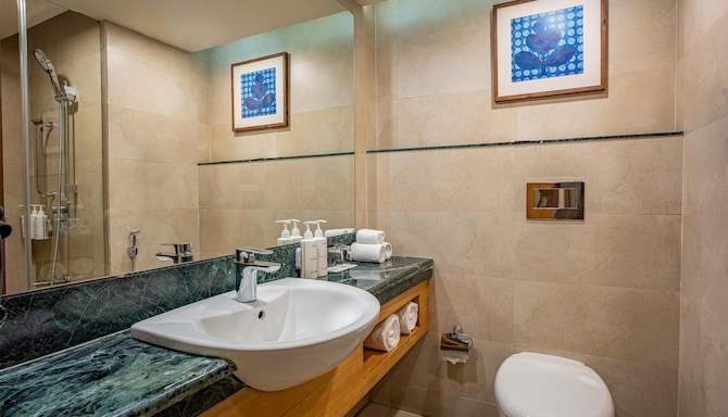 Radisson Hotel Srinagar - Standard Room