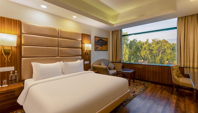 Radisson Hotel Srinagar - Business Class Room