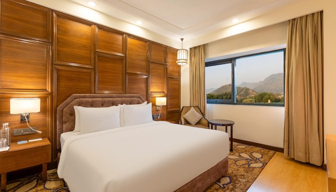 Radisson Hotel Srinagar - Business Bedroom