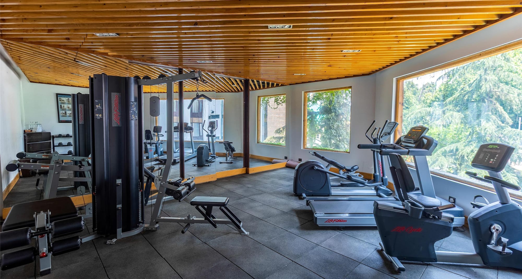 Radisson Hotel Srinagar - Gym