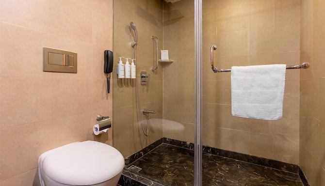 Radisson Hotel Srinagar - Junior Suite Bathroom