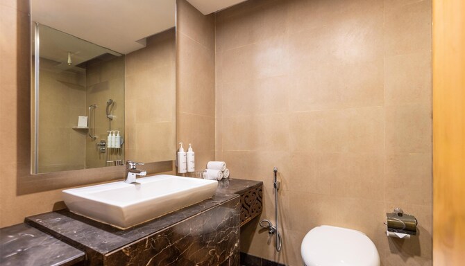 Radisson Hotel Srinagar - Junior Suite Bathroom