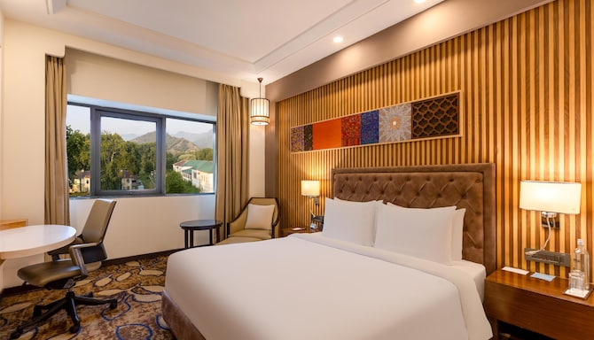Radisson Hotel Srinagar - Junior Suite