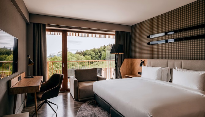 Radisson Hotel Szklarska Poreba - Accessible Room