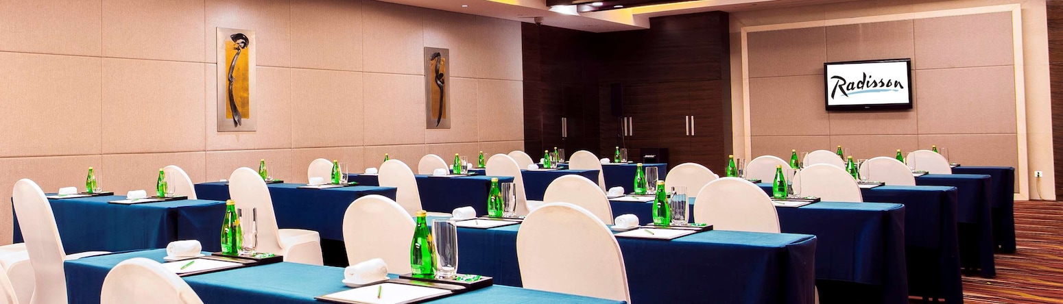 Radisson Hotel Tianjin Aqua City - Multi-function room