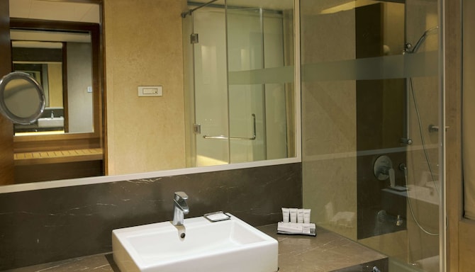 Radisson Hotel Udaipur - Superior Room bathroom