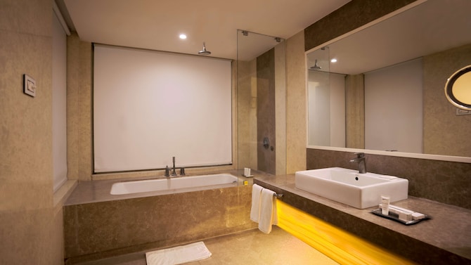 Radisson Hotel Udaipur - Deluxe Room bathroom