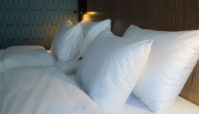 Radisson Hotel Udaipur - Guest room detail