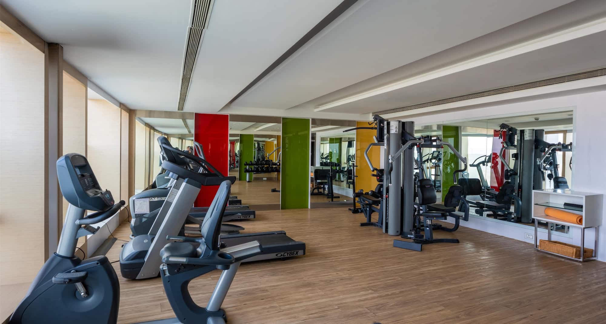 Radisson Hotel Udaipur - Gym