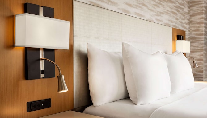 Radisson Hotel Udaipur - Guest room