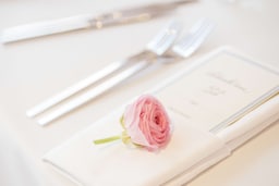 Radisson Hotel Varanasi - Wedding Menu