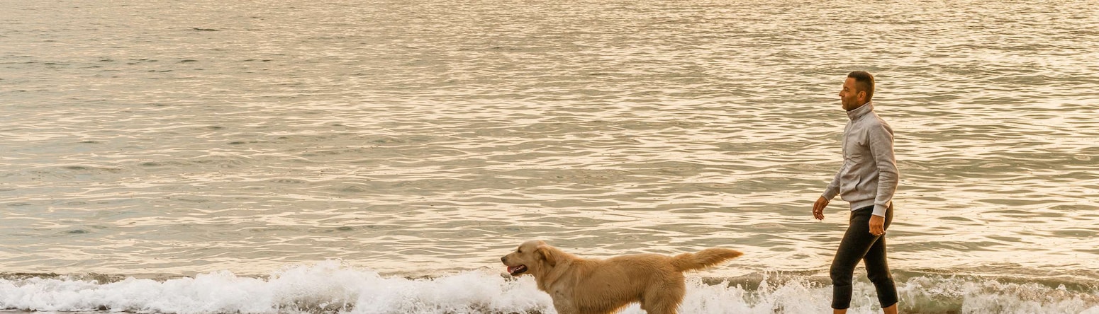 Radisson Hotels - Rad Pets