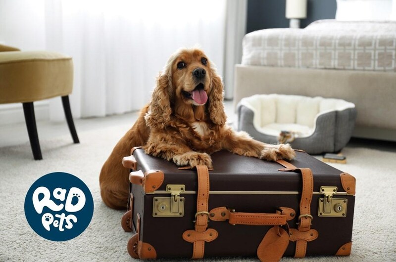 Radisson Hotels - Cross-brand products and concepts - Rad Pets