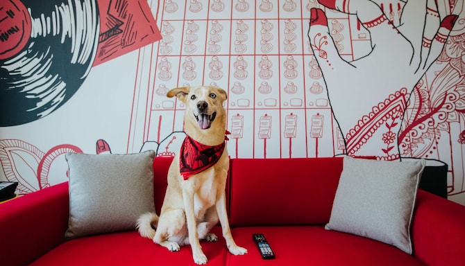 Radisson Hotels – Pet Staycation Package