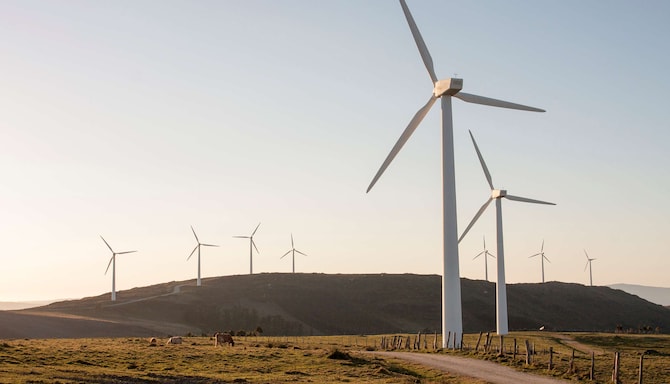 Radisson Meetings - Koldioxidneutralt EMEA