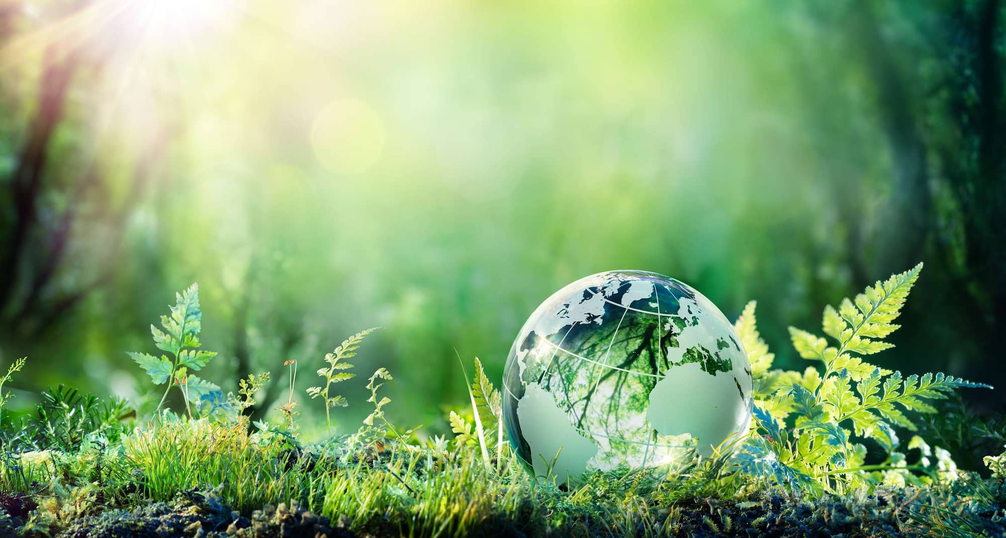 Radisson Meetings - CO2-neutral - Ein globales Programm