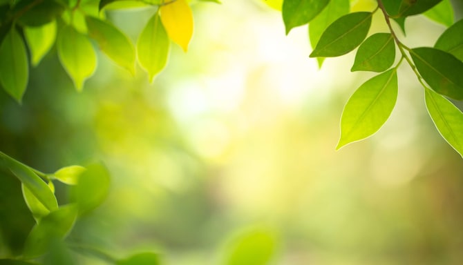 Radisson Meetings - Carbon Neutral