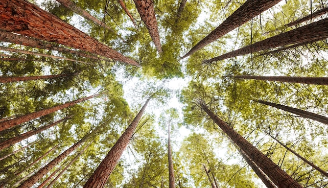 Radisson Meetings - Sustainability