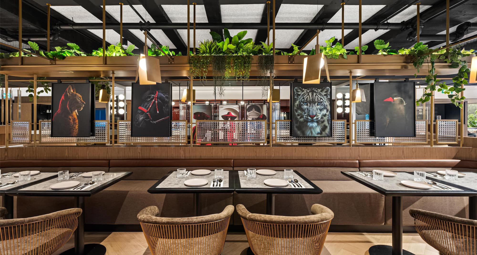 Radisson RED Auckland - Restaurant