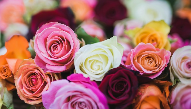 Radisson RED Cebu Mandaue - Weddings