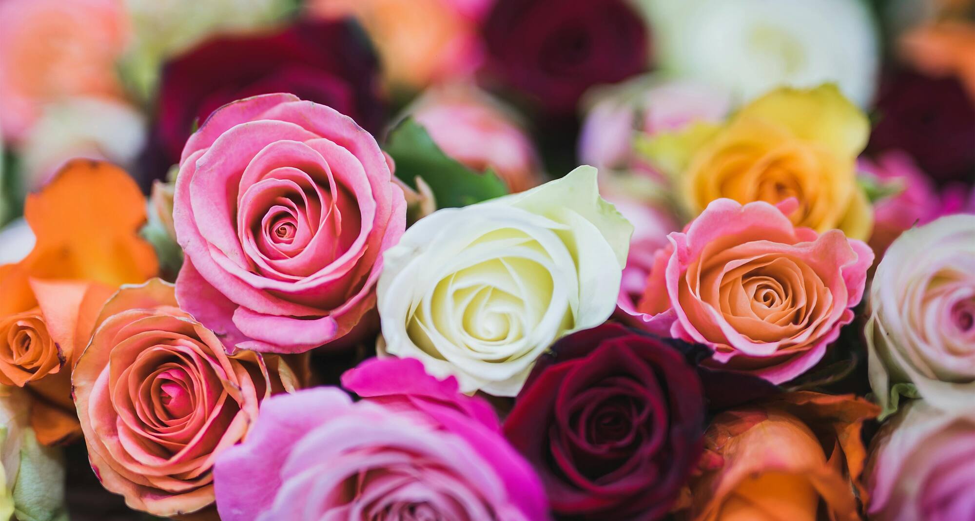 Radisson RED Cebu Mandaue - Weddings