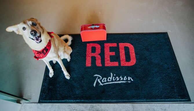 Radisson RED Dubai Silicon Oasis - RRedDog