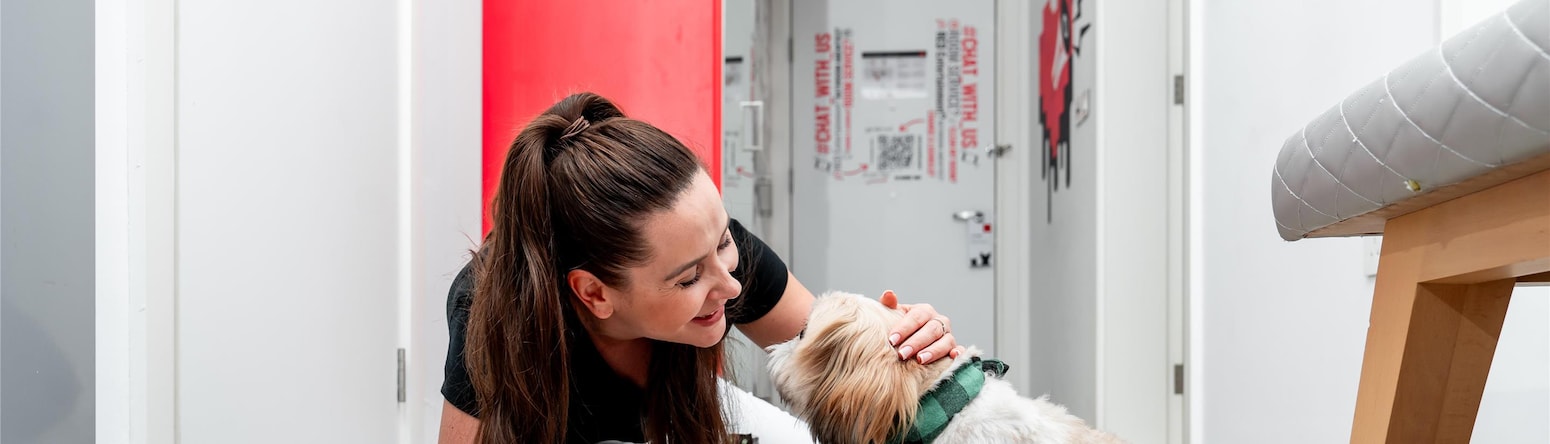 Radisson RED Dubai Silicon Oasis - Pet staycay