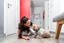 Radisson RED Dubai Silicon Oasis - Pet staycay