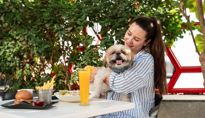 Radisson RED Dubai Silicon Oasis - Rad Pets Experience