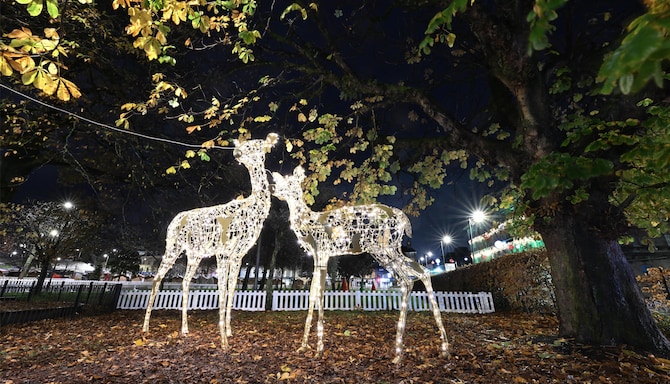 Radisson RED Galway - Christmas Lights Galway City