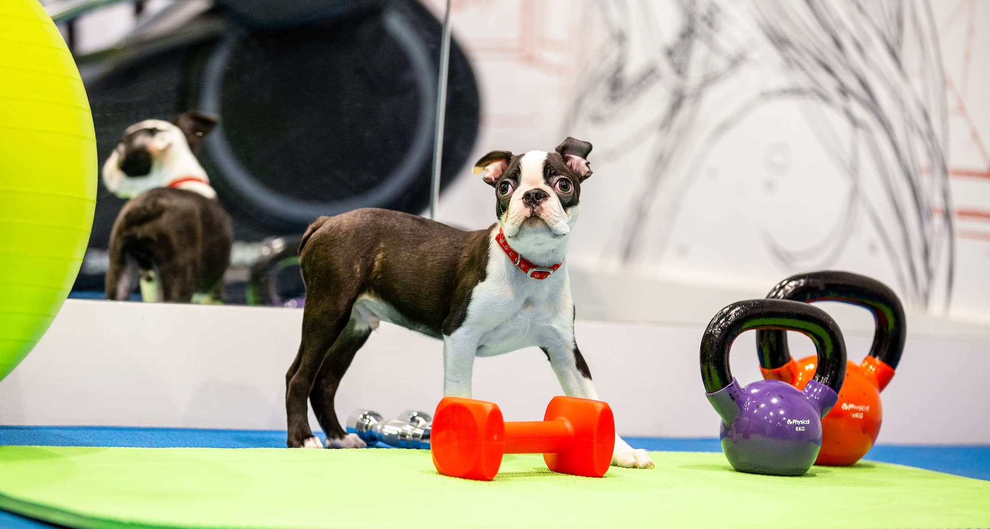 Radisson RED Glasgow - Baxter