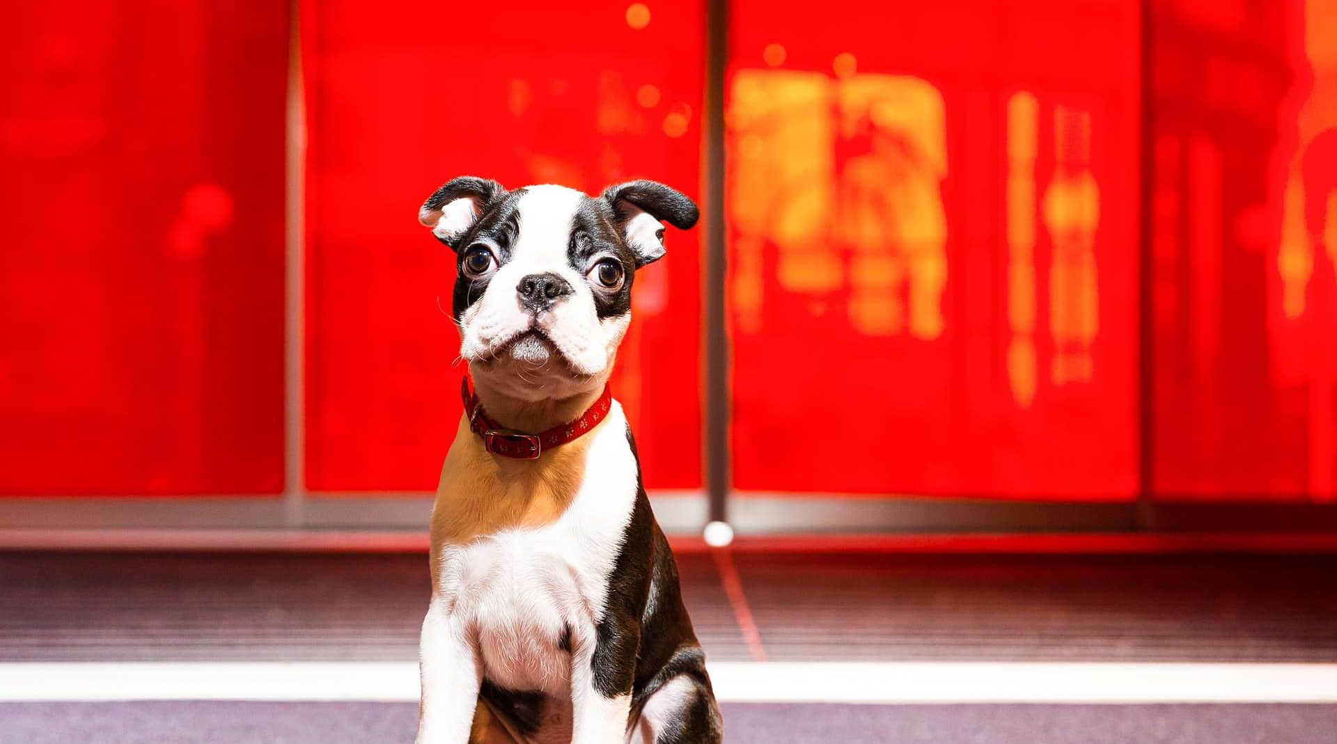 Radisson RED Glasgow - Baxter