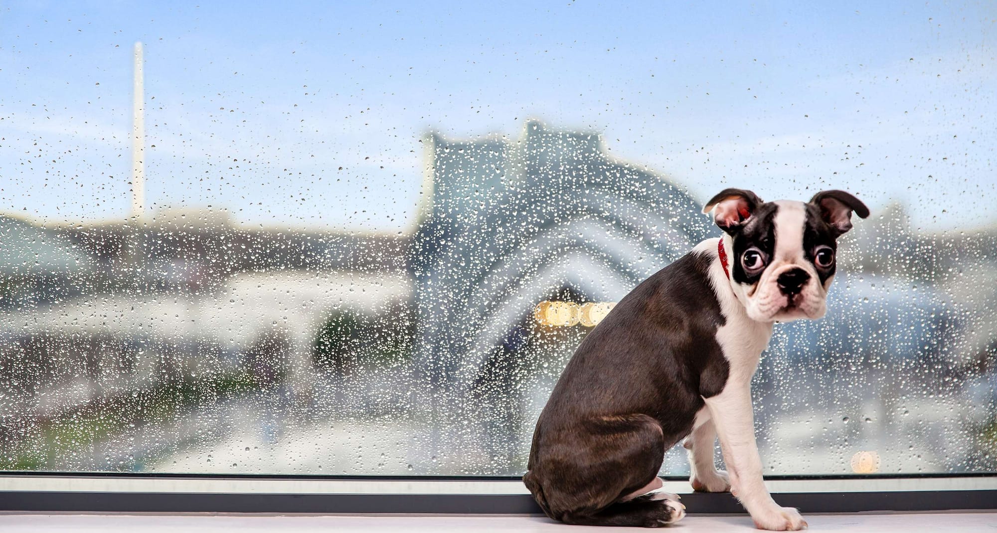 Radisson RED Glasgow - Baxter