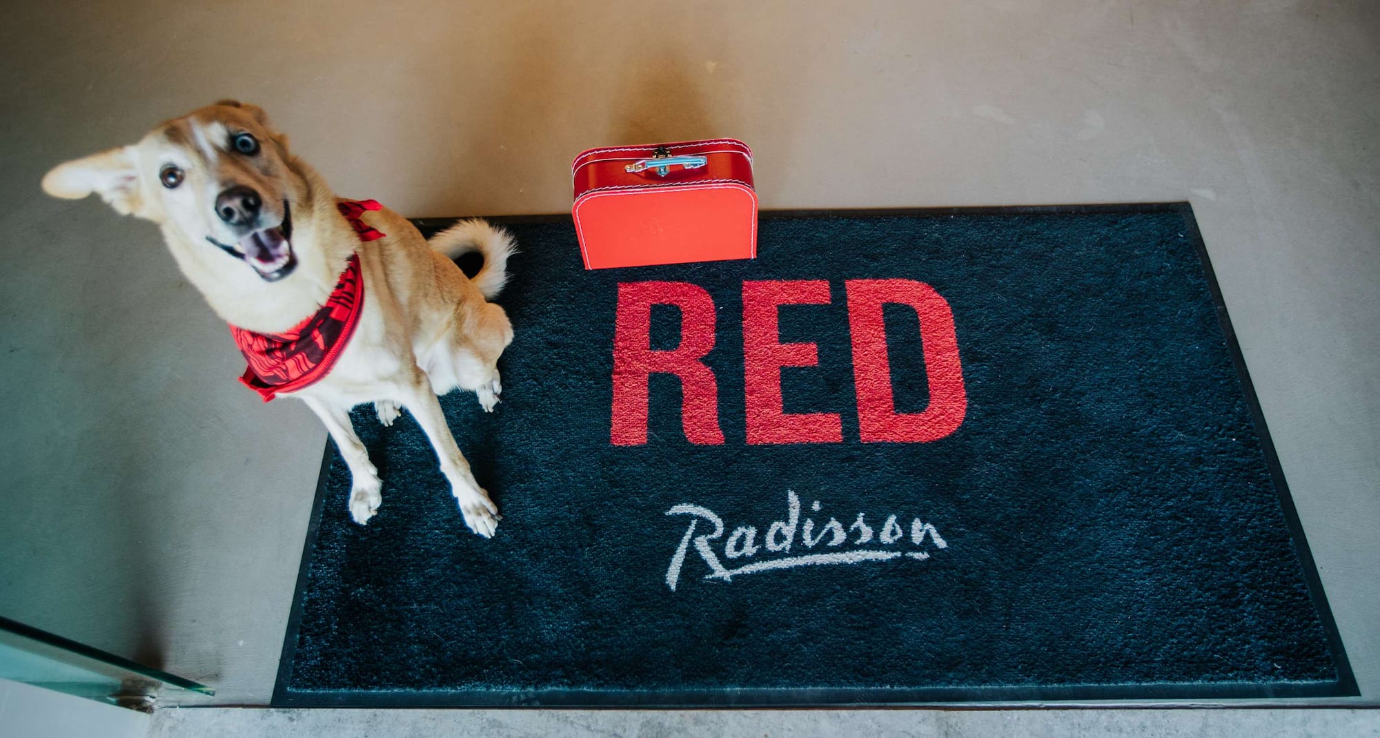 Radisson RED Hotel and Radisson RED Apartments, Krakow - Pet-friendly hotel