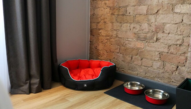 Radisson RED Liverpool - Pet friendly room
