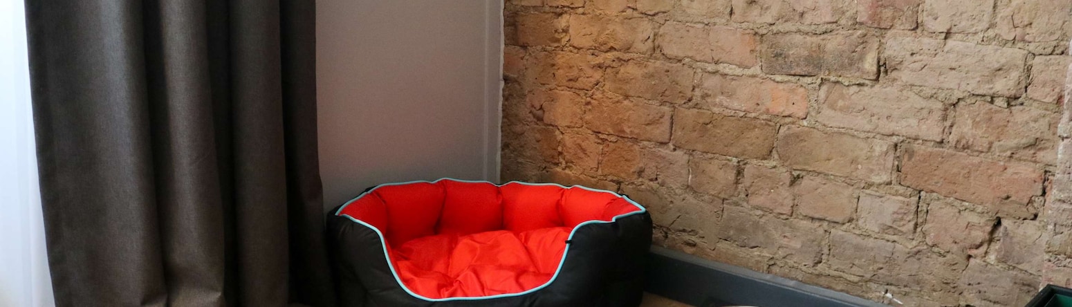 Radisson RED Liverpool - Pet friendly room